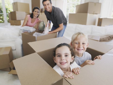 Professional removals planning in Brunswickpark
