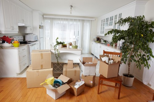 Professional man and van service handling boxes and appliances