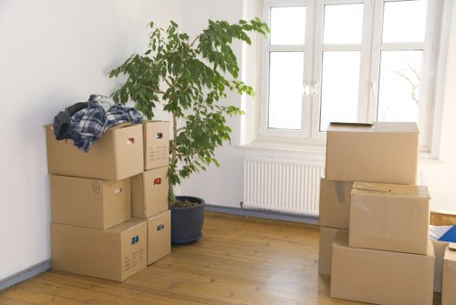 Organized archive boxes for document storage